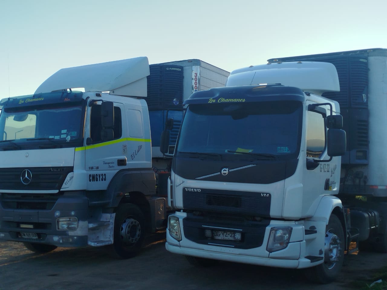Camiones con carga paletizada en bodega